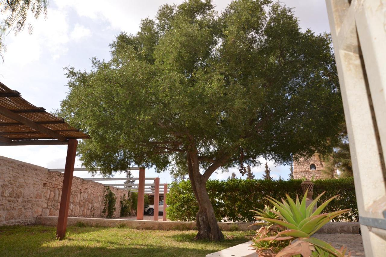 Domaine Argania Hotel Essaouira Bagian luar foto