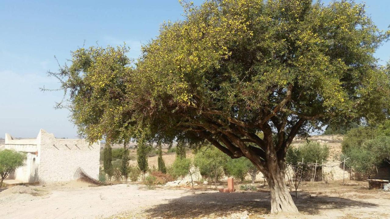 Domaine Argania Hotel Essaouira Bagian luar foto
